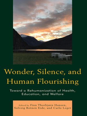 cover image of Wonder, Silence, and Human Flourishing